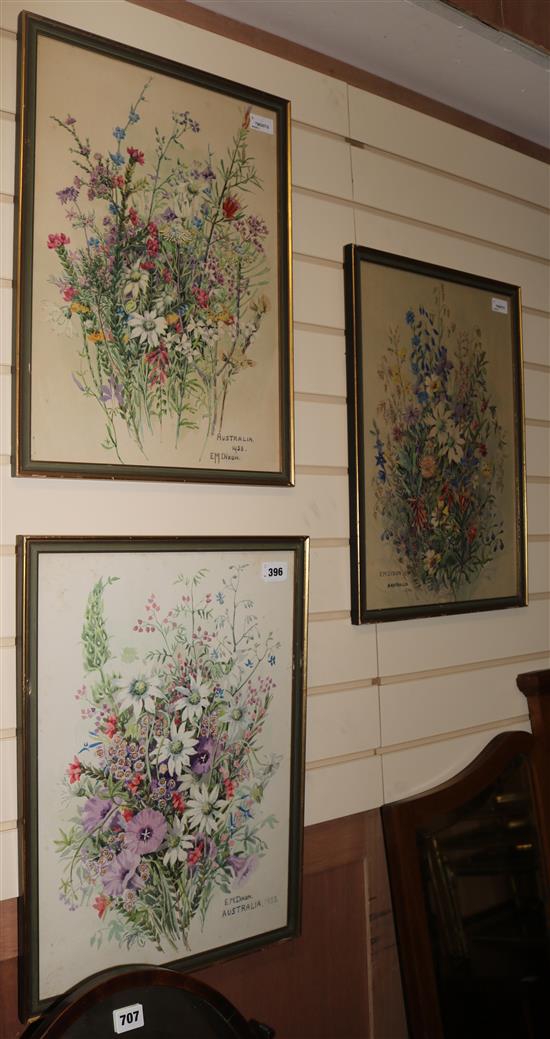 E. M. Dixon (20th century) Botanical studies, each signed and inscribed Australia 1953 49 x 34cm